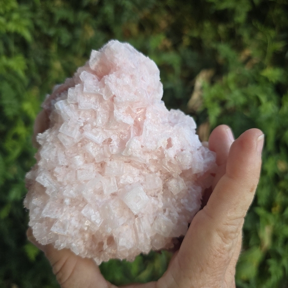 Halite Ca - Picture 3 of 4